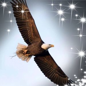 Meet your Posher, Sandy